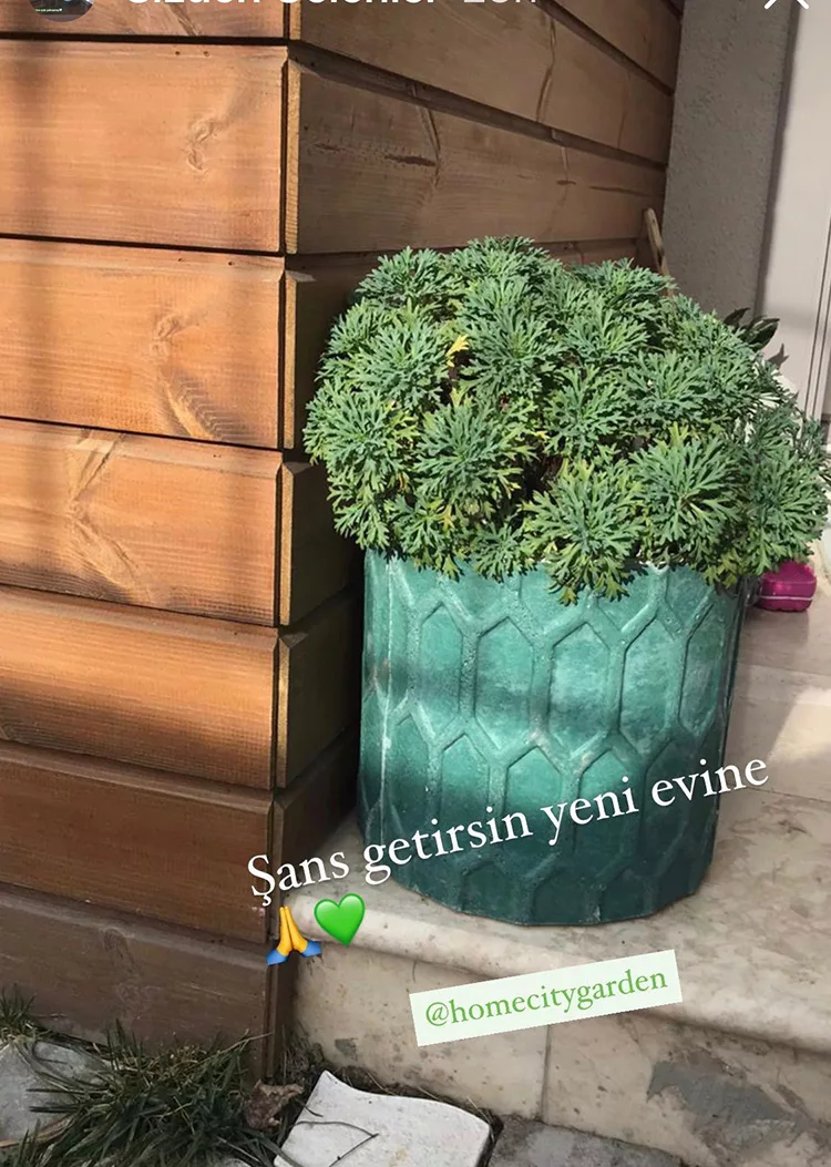 Sizden Gelenler 48